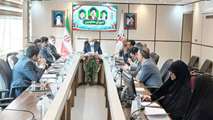 برگزاری شورای معاونین بنیاد شهید و امور ایثارگران استان گیلان